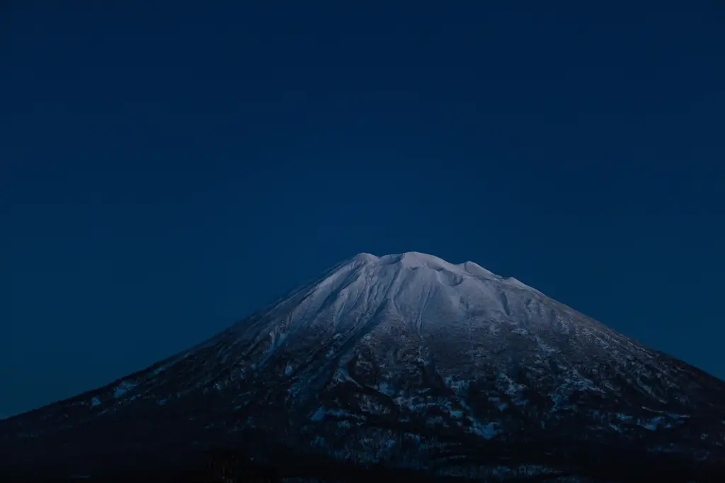 深入探索大阪6天5夜終極指南：美食、景點與購物天堂
