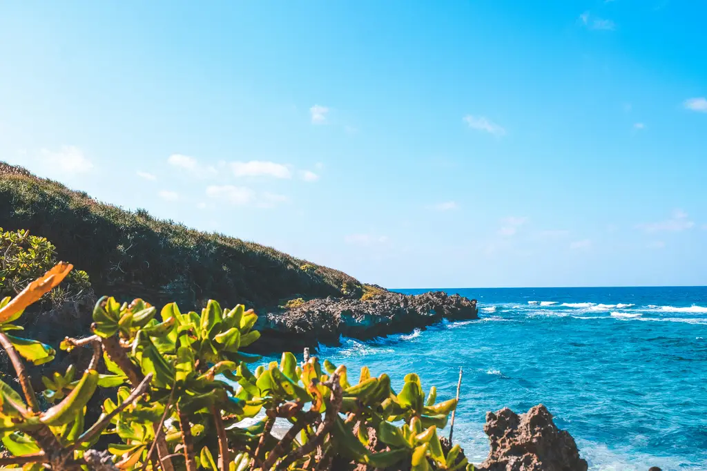 大阪一人自由行，食旅購物玩樂攻略