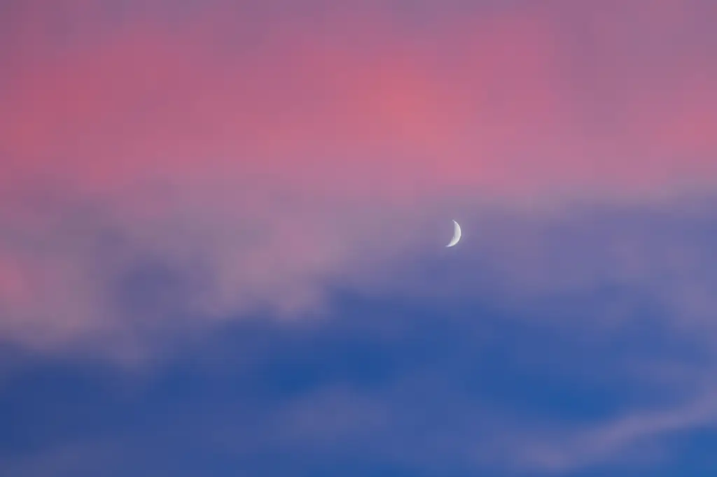 大阪地鐵暢遊指南：深入探索大阪的交通脈絡與城市亮點